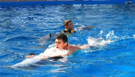 vip-swimming-with-dolphins-for-three-10-minutes-kharkov