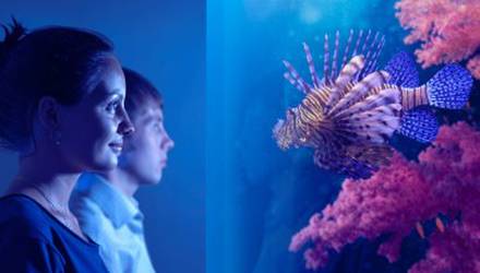 visit-to-the-aquarium-for-two-kharkov