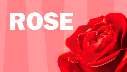 Набір емоцій Rose