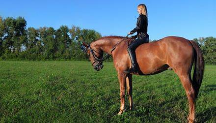 the-training-program-horsemanship-saddle-odessa