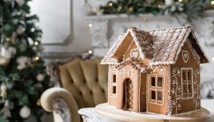 icing-the-creation-of-a-christmas-house-dnepropetrovsk