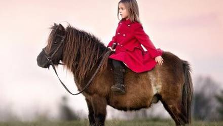my-little-pony-kiev