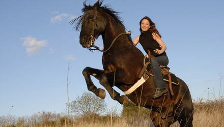 Оренда коней для фото і відеозйомки, Київ - Фото