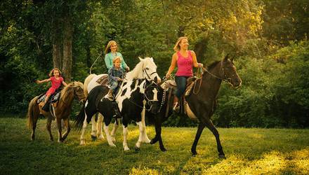 Семейная прогулка на лошадях, Одесса - Фото