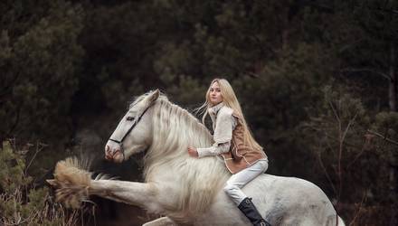 Оренда коня для фотосесії, Дніпро - Фото