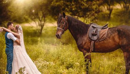 Фотосесія на конях для двох Smart, Львів - Фото