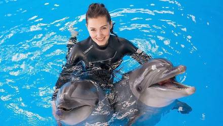 Купание с дельфинами + фото, Харьков - Фото 1