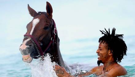 Плавание на лошади, Одесса - Фото