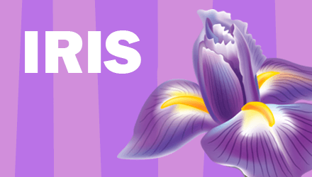 Набор эмоций Iris