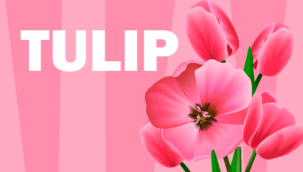 Набор эмоций Tulip