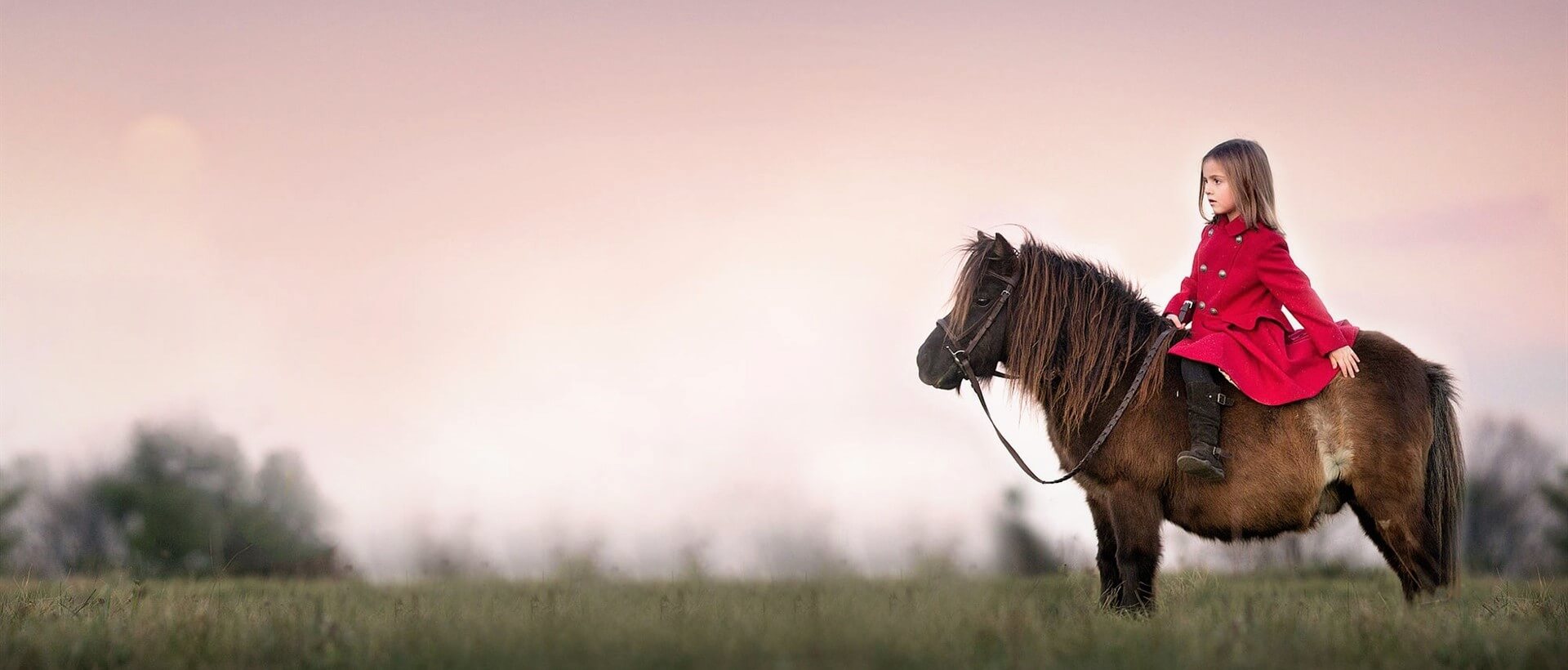 Верховая езда на пони, Одесса - Фото