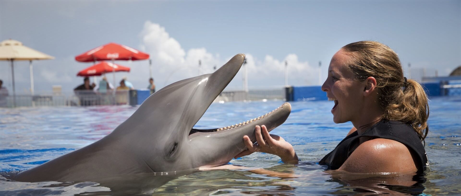 VIP плавание с дельфинами, Харьков - Фото