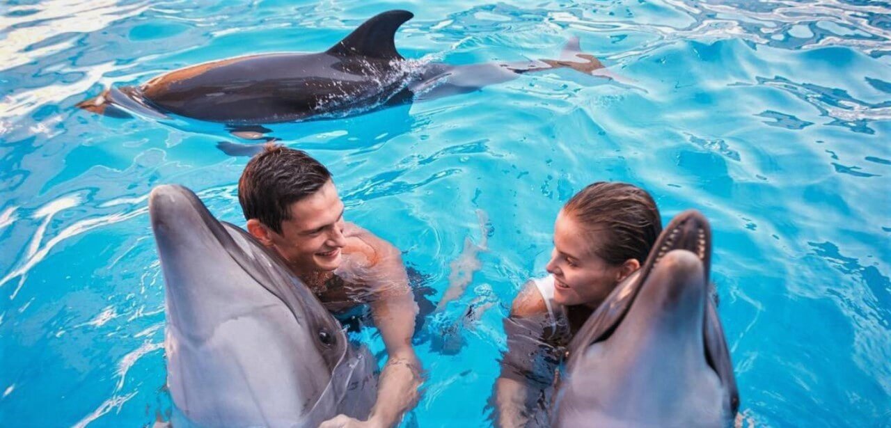 VIP плавание с дельфинами для двоих, Харьков - Фото
