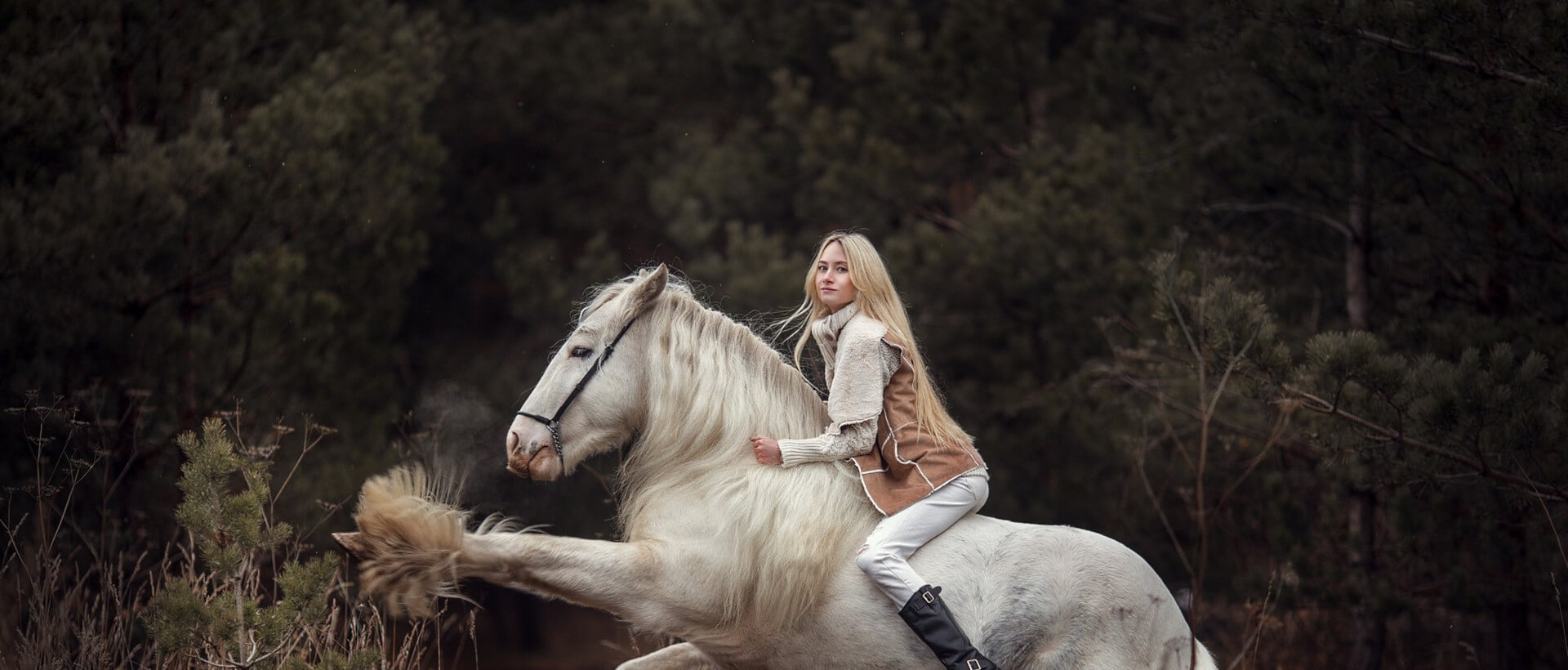 Аренда лошади для фотосессии, Днепр - Фото