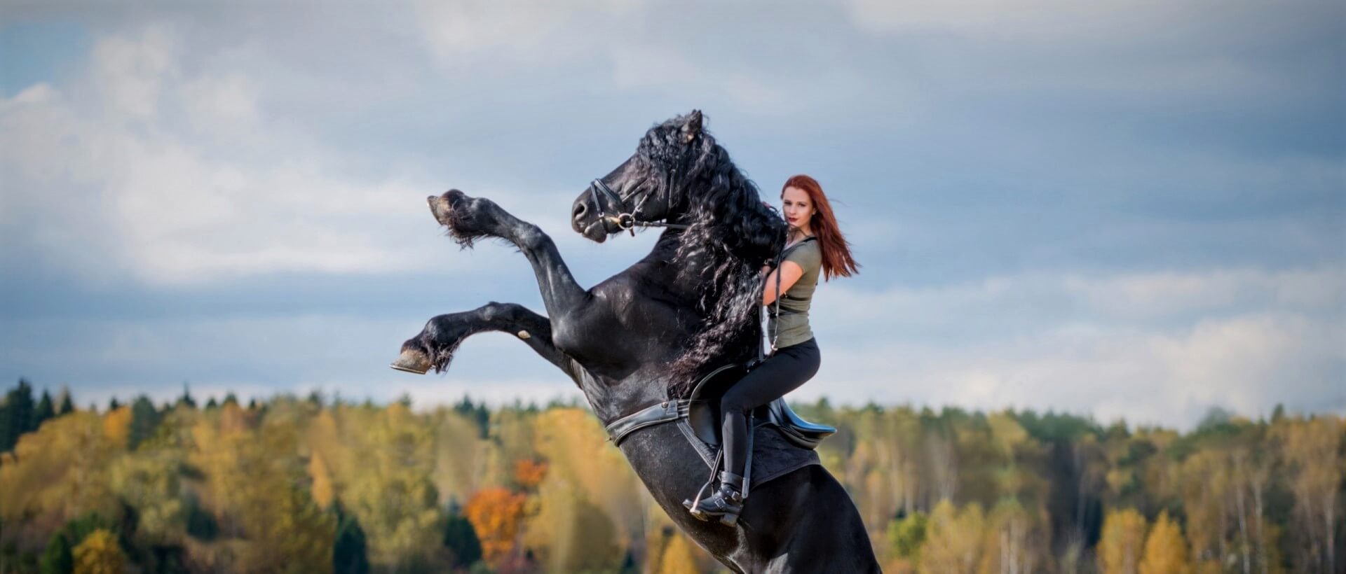 Фотосессия с трюковым конем, Львов - Фото