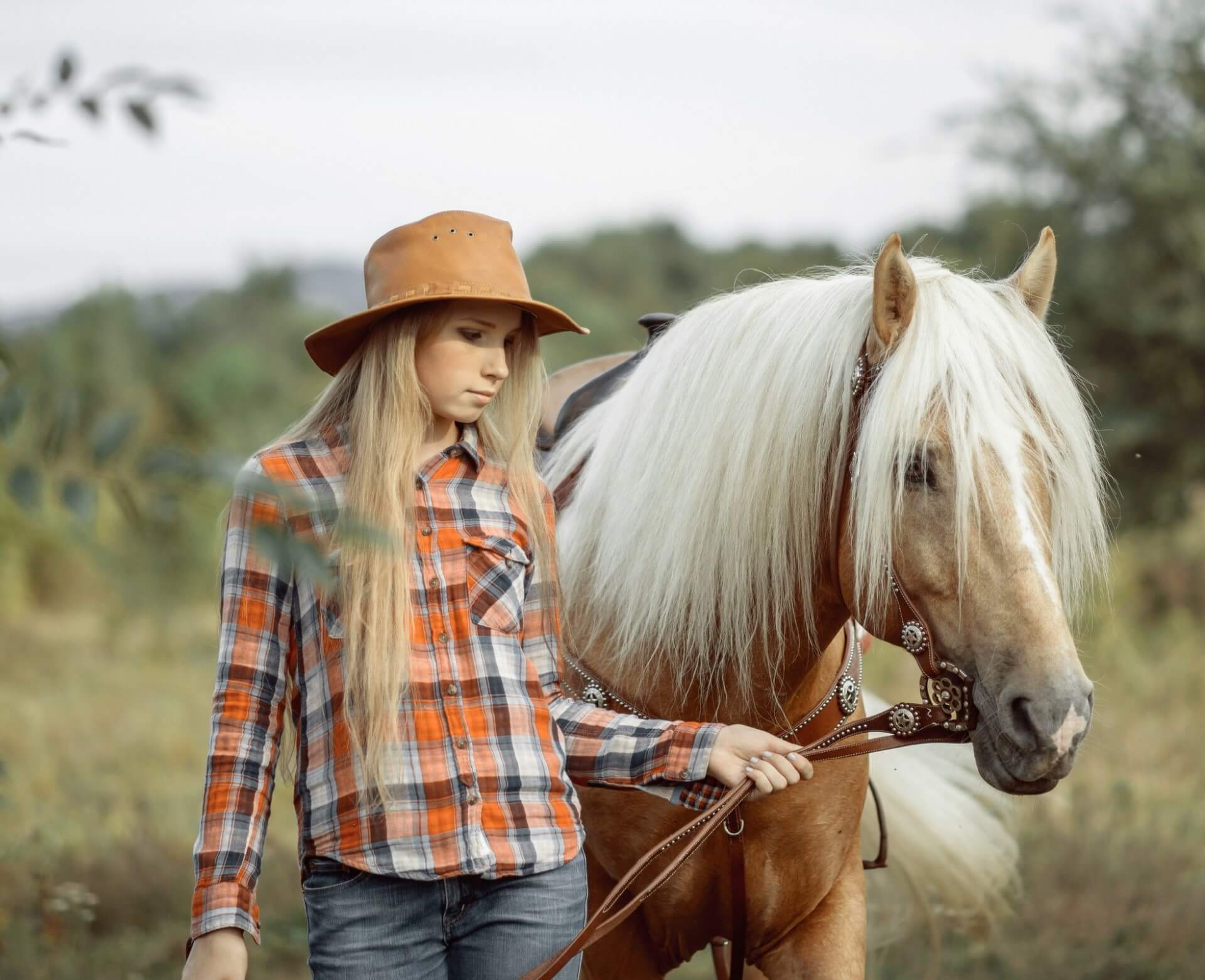 Индивидуальная конная фотосессия Optimal, Львов - Фото